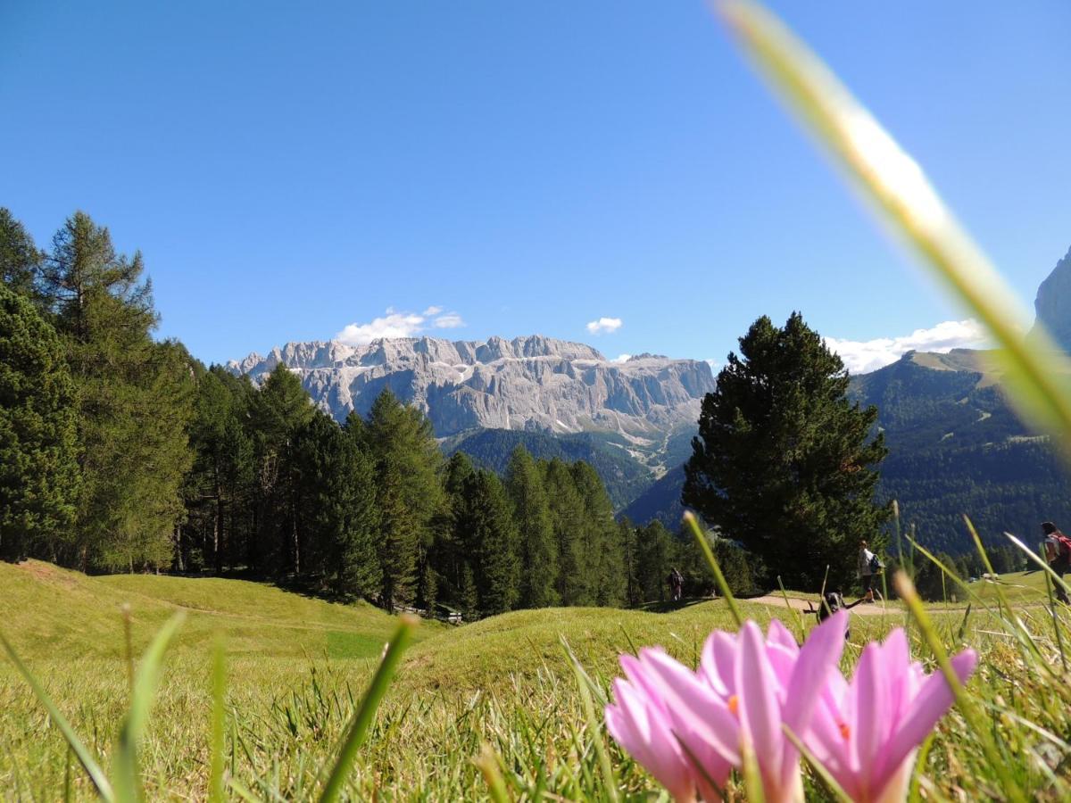 Hotel Chalet Dlaces Selva di Val Gardena Exterior foto