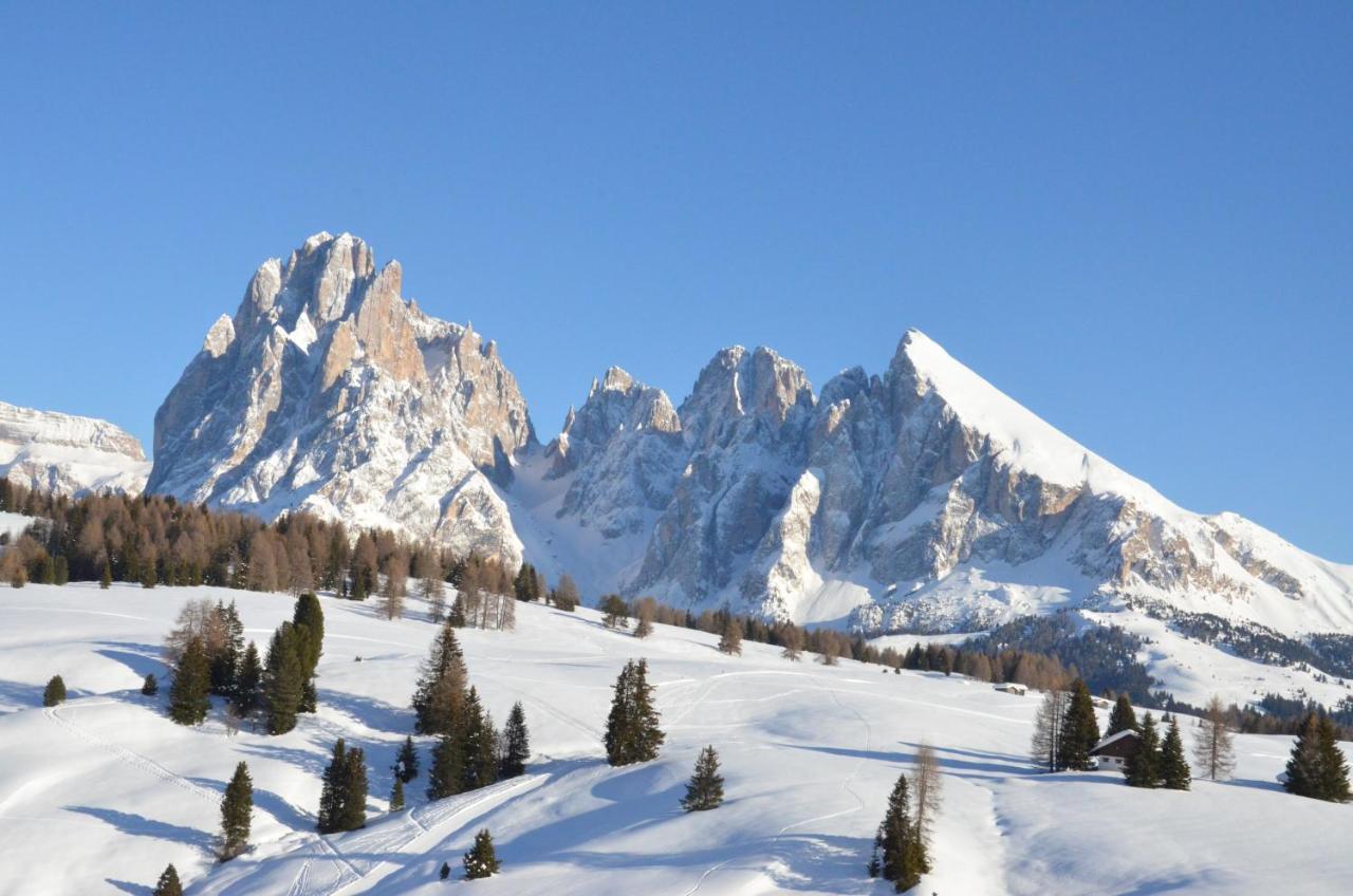 Hotel Chalet Dlaces Selva di Val Gardena Exterior foto