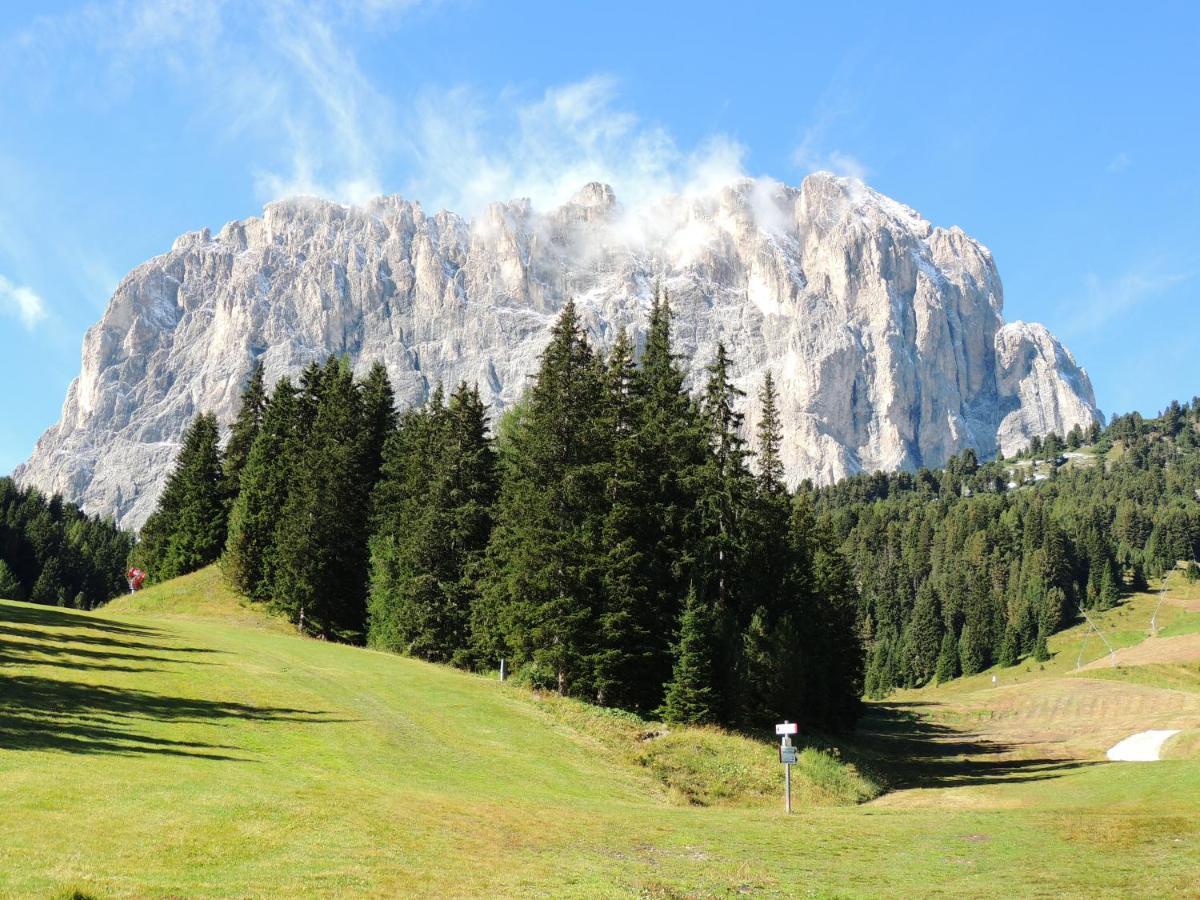 Hotel Chalet Dlaces Selva di Val Gardena Exterior foto